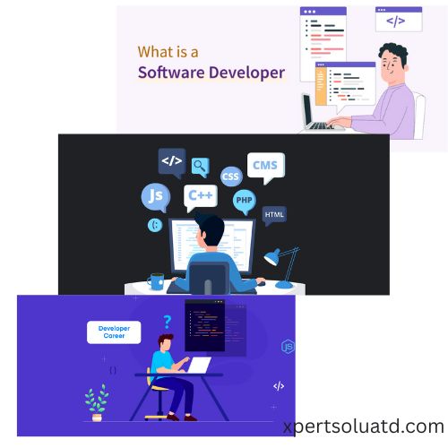 software developer