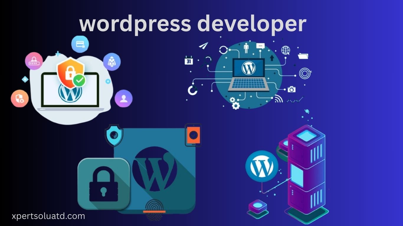 wordpress developer